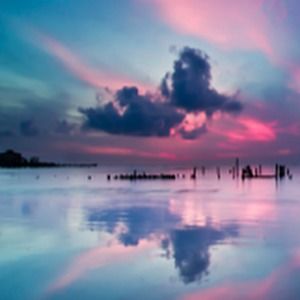 Meet your Posher, Domonique